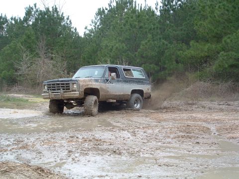 1993 Ford Bronco - This SUV is stuck in the mud, with trees in the background and a watermark at the bottom right.