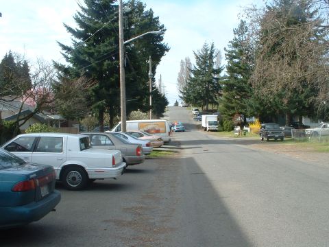 1999 Ford Crown Victoria - A row of parked cars lines a residential street on a cloudy day.