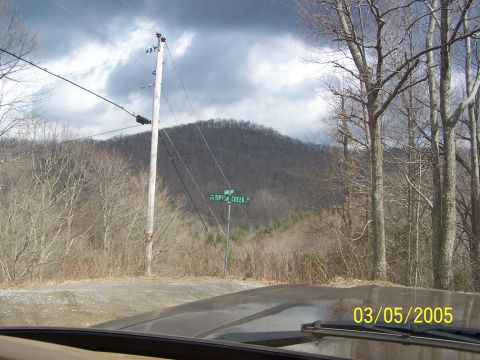1979 Ford F-150 - View from inside a vehicle on a cloudy day, showing a road sign for Tipton Creek and surrounding trees.