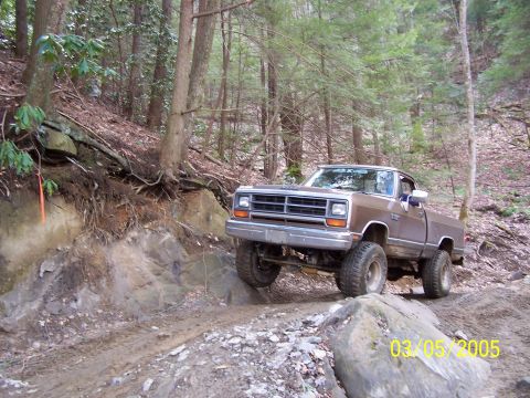 1979 Ford F-150 - A brown pickup truck navigates a challenging off-road path through a forest.