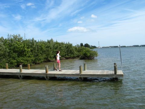 1995 Nissan Frontier - A person stands on a wooden dock, gazing out at the water and lush green mangroves under a bright blue sky.