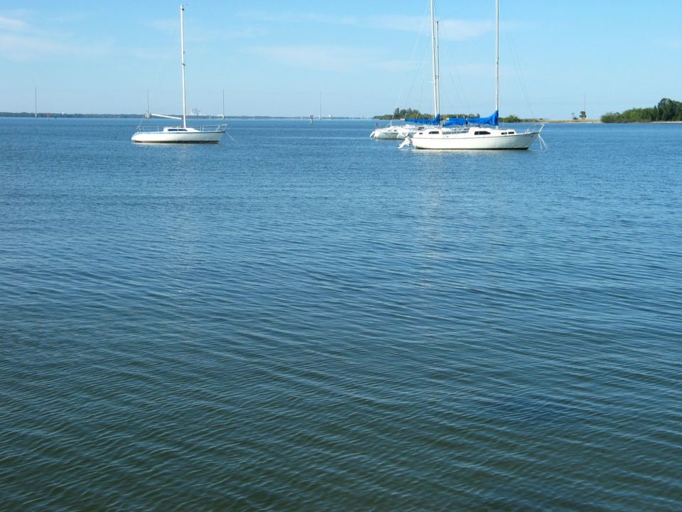 Several sailboats anchored on a calm blue body of water under a clear sky