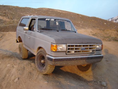 1991 Ford Bronco - Brent stock bronco with 32x11.50 wildcountry TRX's
