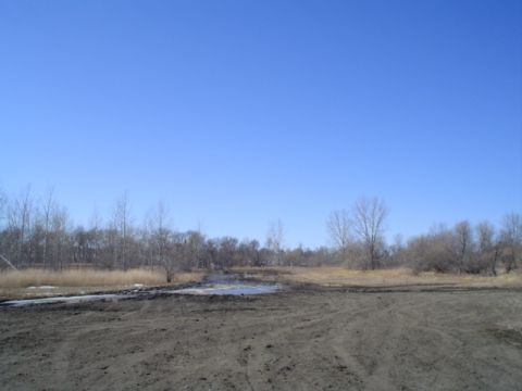1981 Ford Bronco - A wide, muddy expanse with sparse trees in the background under a bright blue sky.