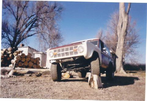 1975 Ford Bronco - on stump