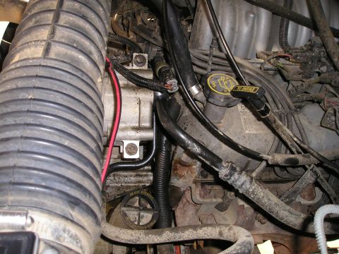 1996 Ford Bronco - Close-up view of an engine bay with various components visible.