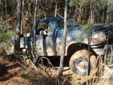 1993 Ford Bronco - Muddy blue pickup truck appears stuck off-road, wedged between trees.