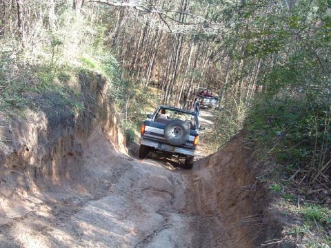 1993 Ford Bronco - Two Ford Broncos navigate a narrow, muddy off-road trail surrounded by dense woods.