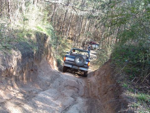 1993 Ford Bronco - Two SUVs navigate a narrow dirt path through a wooded area.