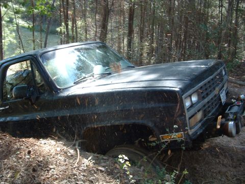 1993 Ford Bronco - A black pickup truck is stuck in the mud and dirt in a wooded area.