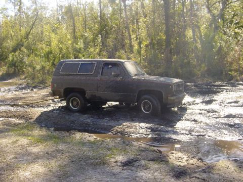 1989 Ford Bronco - This SUV appears to be from the 1980s, not a 1989 Ford Bronco, as it is stuck in the mud.