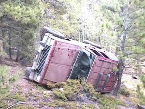 1993 Ford Bronco - A red SUV has rolled onto its side in a wooded area, resting against some bushes and trees.