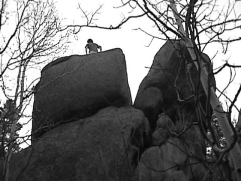 1993 Ford Bronco - A lone figure stands on a rocky outcrop, silhouetted against the sky amidst stark, bare tree branches.