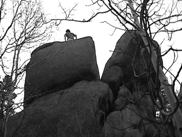 Person atop large rock formation with bare tree branches overhead