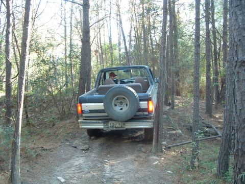1993 Ford Bronco - A Ford Bronco navigates a wooded trail from a rear perspective.