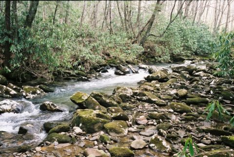 1990 Ford Bronco - A natural scene of a flowing stream over rocks in a forest, with a website watermark visible at the bottom right.