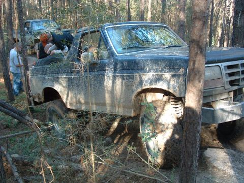 1993 Ford Bronco - Two trucks are stuck in the woods, one is wedged between trees.