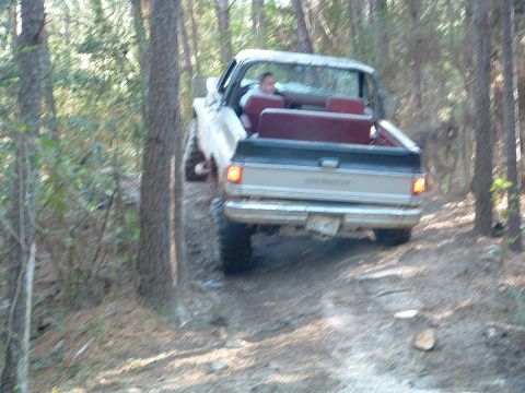 1993 Ford Bronco - A Chevrolet pickup truck navigates a wooded trail.