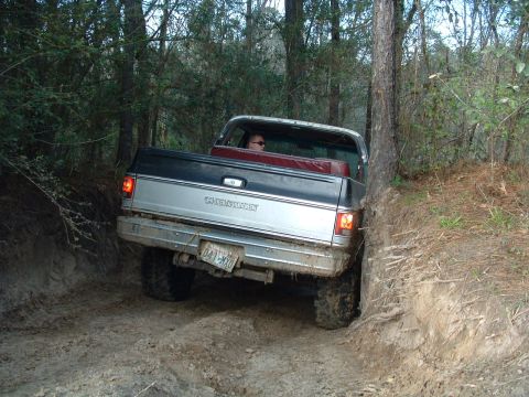 1993 Ford Bronco - A black and silver pickup truck maneuvers through a wooded trail, its rear end close to a large tree.