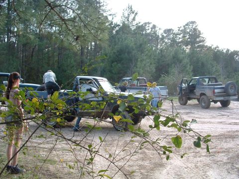 1993 Ford Bronco - Multiple trucks and a Bronco are gathered in a wooded area.