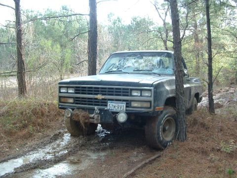 1993 Ford Bronco - This truck appears to be stuck in the mud while off-roading in a wooded area.