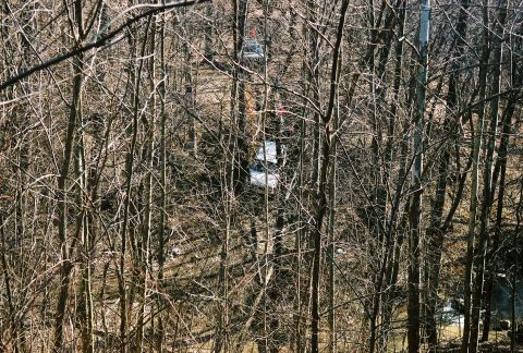 1995 Ford Bronco - Two white SUVs are partially obscured by the dense branches of trees in a wooded area.