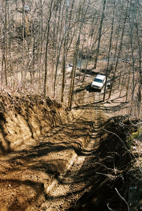 1995 Ford Bronco - A white SUV navigates a steep, muddy track through a bare-branched forest.