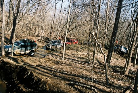 1995 Ford Bronco - Multiple off-road vehicles drive through a wooded area during daytime.