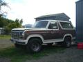 1985 Ford Bronco “Furby”