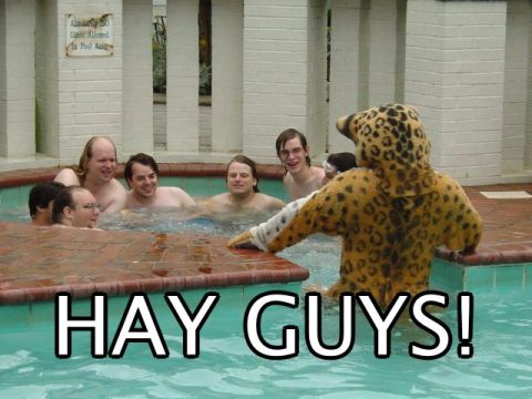 1992 Ford Bronco - A group of friends enjoys a pool party with a jaguar mascot, complete with a humorous caption.