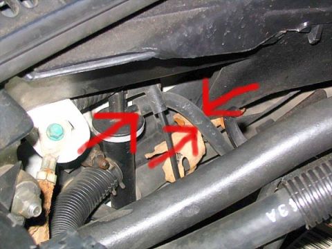 1997 Ford Crown Victoria - Red arrows highlight various hoses and a white component within the vehicle's engine compartment.