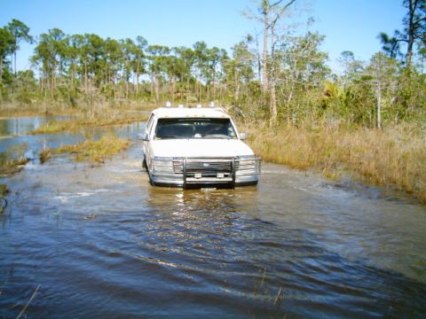 1995 Ford Bronco - White Ford Bronco sitting in standing water on a submerged trail, water up to the rocker panels and lapping at the bumper. Front view showi…
