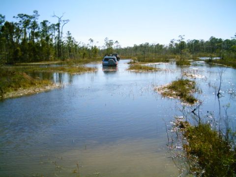 1995 Ford Bronco - A light-colored SUV with a rear-mounted spare tire driving away down a submerged trail through a wide flooded flatwoods marsh, water reachi…