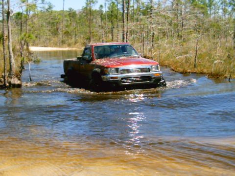 1995 Ford Bronco - Red Toyota regular-cab pickup wading through a flooded sandy trail in a pine and palmetto swamp, water breaking over the front bumper and m…