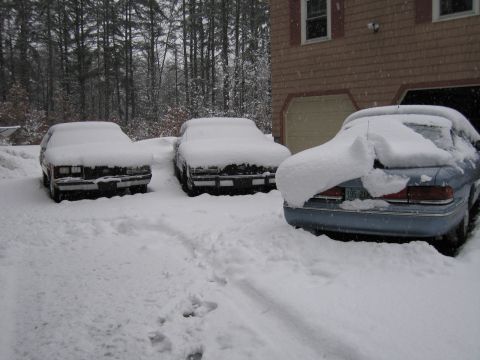 2001 Ford Crown Victoria - Several vehicles are parked outside and covered in a thick layer of snow during a winter storm.
