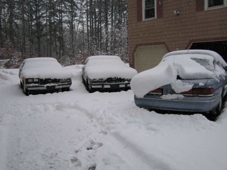 Three cars covered in snow parked in front of a house and trees. One car has a large drift of snow on its trunk