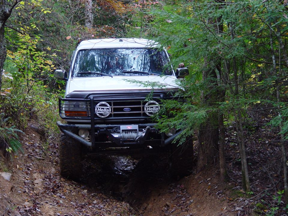 Front view of white Ford truck with brush guard and Hella lights on a wooded dirt trail