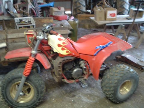 1995 Mercury Grand Marquis - A red three-wheeler ATV with flame decals is parked inside a cluttered garage or workshop.