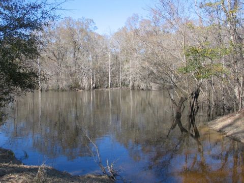 1995 Ford Bronco - A tranquil river scene with reflections of bare trees on its surface, under a clear blue sky.