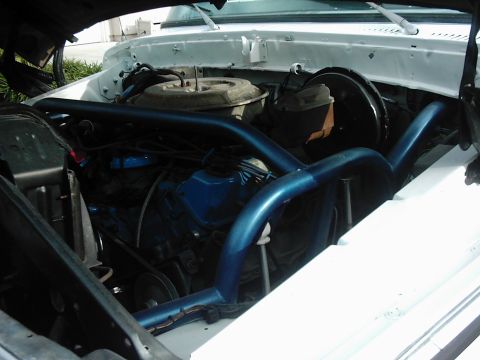 1978 Ford Bronco - The engine compartment of a white truck, blue engine parts and a prominent blue roll cage.