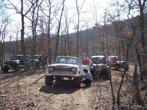 1999 Jeep TJ - A group of Jeeps, including a J-series pickup, gathered in a wooded area for off-road activity.