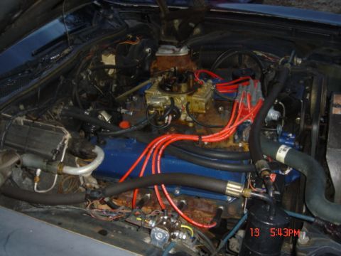 1975 Ford Ranchero - The engine bay of a 1975 Ford Ranchero shows a blue engine block, red spark plug wires, and a carburetor.