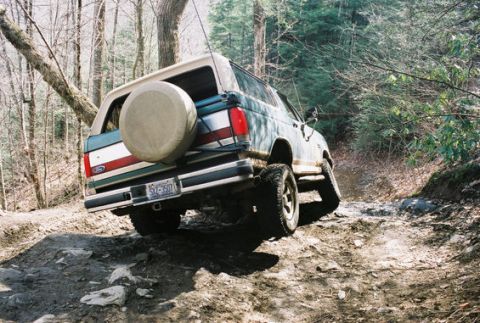 1979 Ford F-150 - Ford Bronco navigating a challenging off-road trail through a forest.