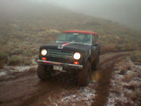 1979 Ford Bronco - Iversons scout