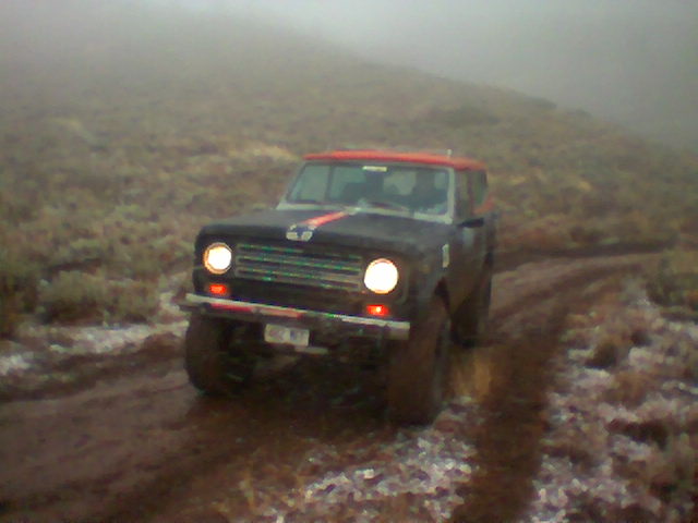 Iversons scout