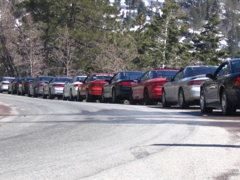 1995 Ford Probe - A row of cars, predominantly coupes in red and silver, are parked along a roadside with trees and snow-capped mountains in the background.