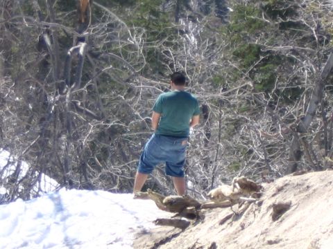 1995 Ford Probe - Man urinating outdoors in a snowy, wooded environment.