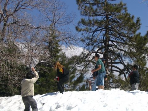1995 Ford Probe - People enjoy a snowy day outdoors, with trees and a bright blue sky overhead.
