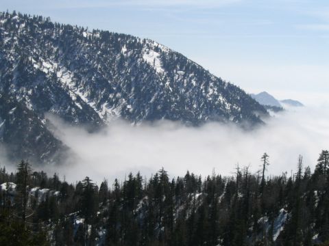1995 Ford Probe - A vast mountain landscape is partially obscured by fog, with trees and snow visible.