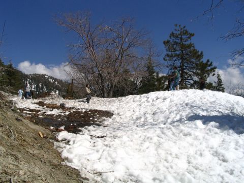 1995 Ford Probe - People gather on a snowy hillside with trees and mountains in the background under a bright blue sky.